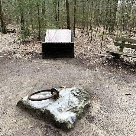 شاليه Boslodge Word Blij *