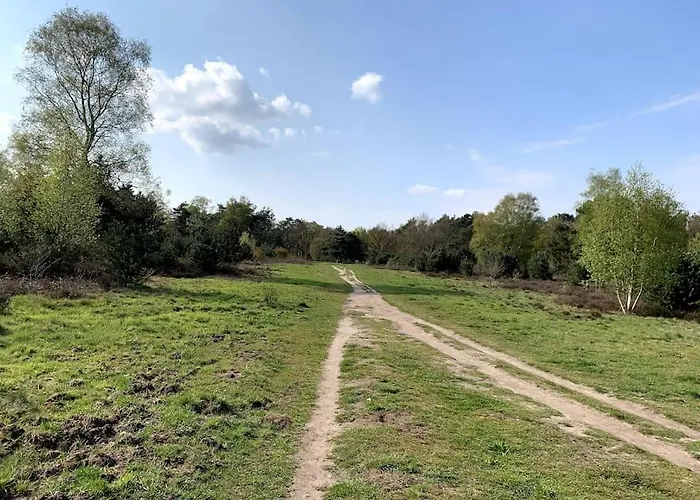 Boslodge Word Blij * Putten