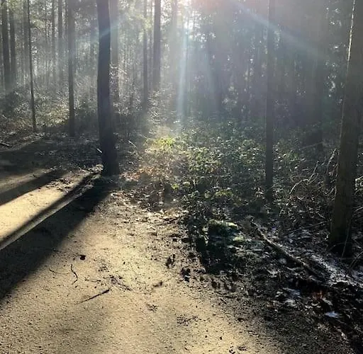 Boslodge Word Blij Chalet Putten