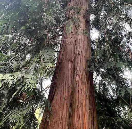 Boslodge Word Blij * Putten