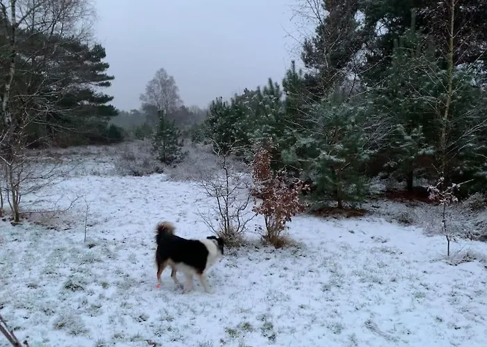 Boslodge Word Blij * Putten