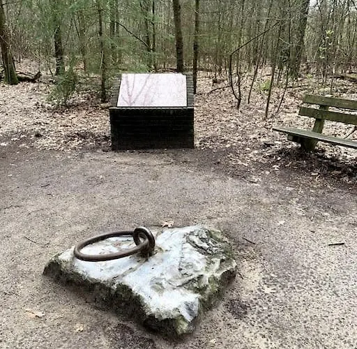 Chalet Boslodge Word Blij *