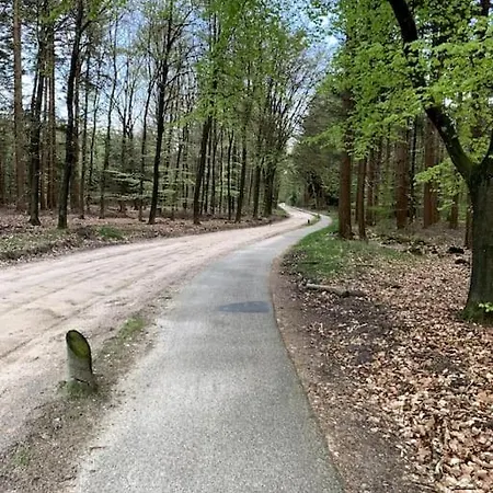 Boslodge Word Blij * Putten