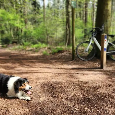 Horská chata Boslodge Word Blij