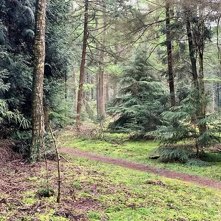 Horská chata Boslodge Word Blij Putten