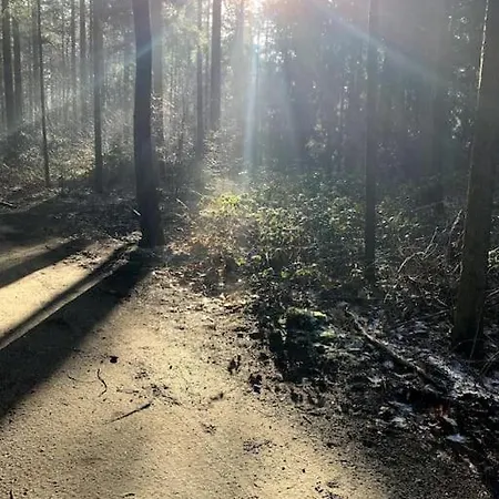 Boslodge Word Blij Horská chata Putten