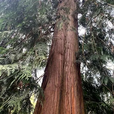 Boslodge Word Blij * Putten