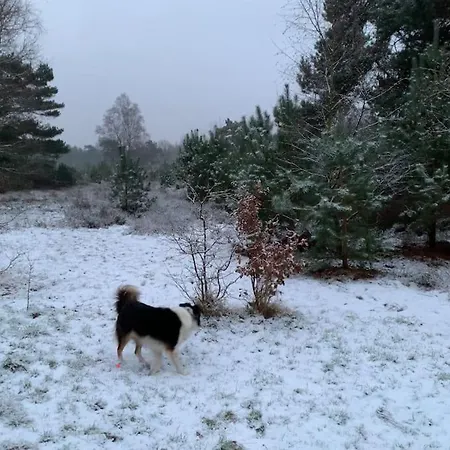 Boslodge Word Blij * Putten